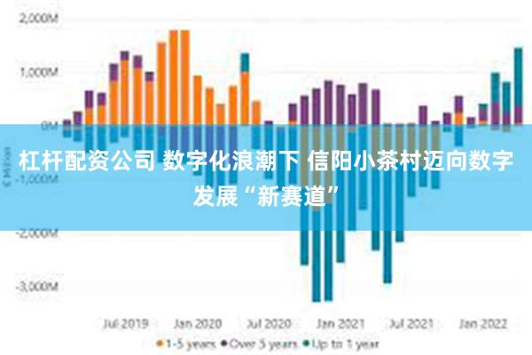 杠杆配资公司 数字化浪潮下 信阳小茶村迈向数字发展“新赛道”