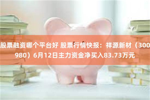 股票融资哪个平台好 股票行情快报：祥源新材（300980）6月12日主力资金净买入83.73万元