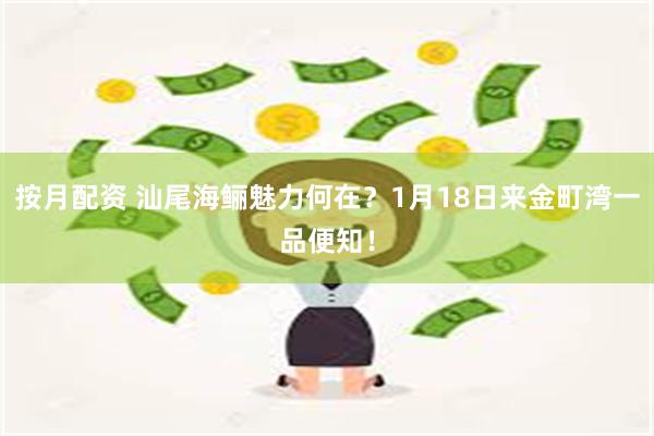 按月配资 汕尾海鲡魅力何在？1月18日来金町湾一品便知！