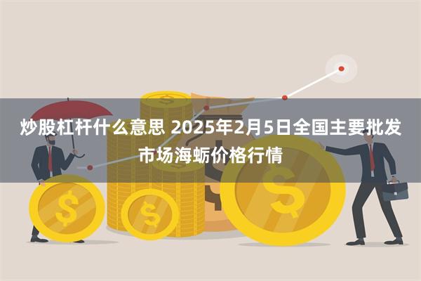 炒股杠杆什么意思 2025年2月5日全国主要批发市场海蛎价格行情