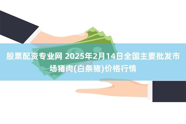 股票配资专业网 2025年2月14日全国主要批发市场猪肉(白条猪)价格行情