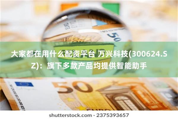 大家都在用什么配资平台 万兴科技(300624.SZ)：旗下多款产品均提供智能助手